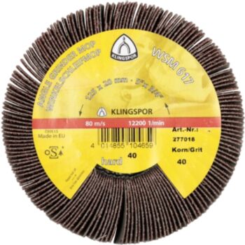 Lapelinis šlifavimo diskas 125x20xM14 grit 60 WSM617 Klingspor 277019